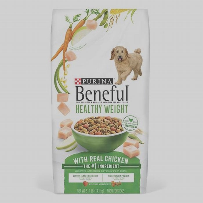 Understanding Bella Pet Food: The Key to a Happy, Healthy Dog