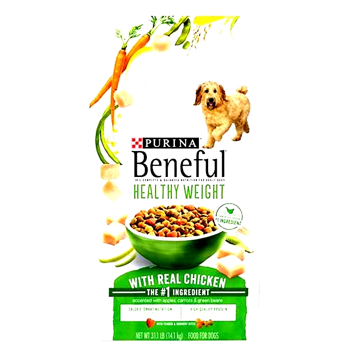 Understanding Gain Pet Food: The Key to a Happy, Healthy Dog