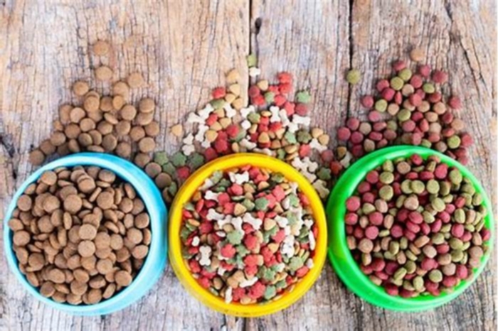 Unique Canine Fare: Exploring Specialty Dog Food Options