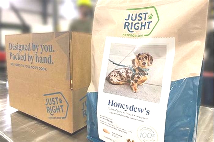 Unique Dog Food Blends: Catering to Your Pet's Unique Needs