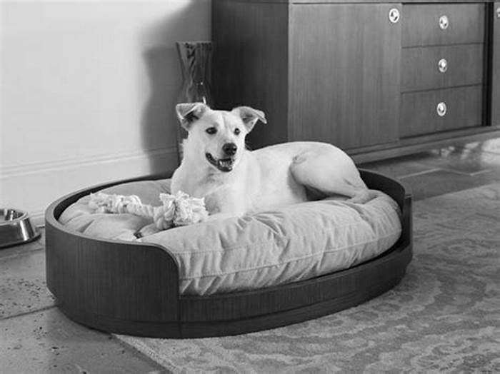 Unique Pet Beds Providing Specialty Beds for Your Dog