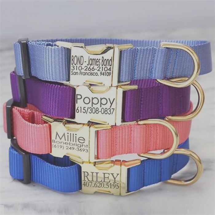 Unique Pet Collars Providing Specialty Collars for Your Dog