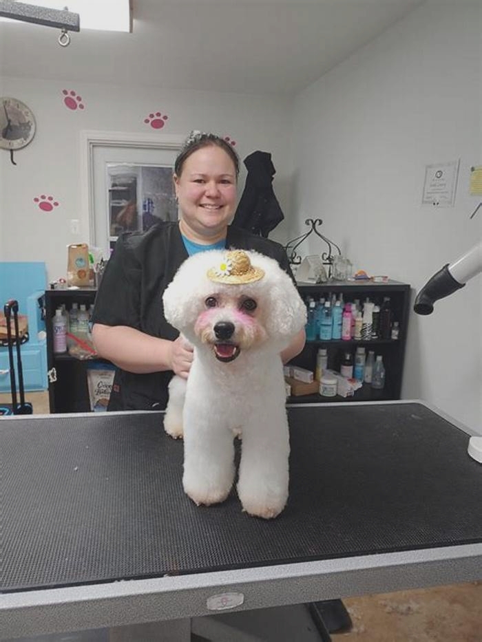 Unique Pet Grooming: Providing Specialty Grooming for Your Dog