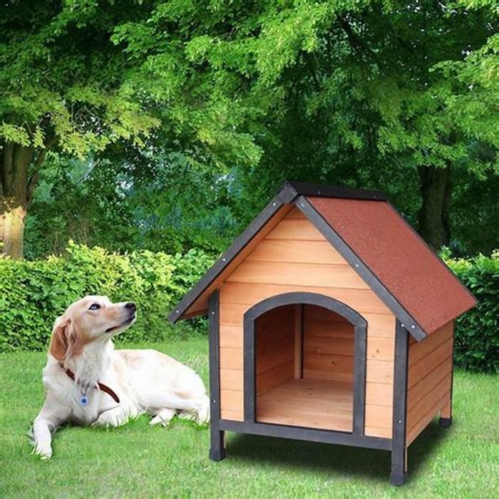 Unique Pet Houses Providing Specialty Houses for Your Dog