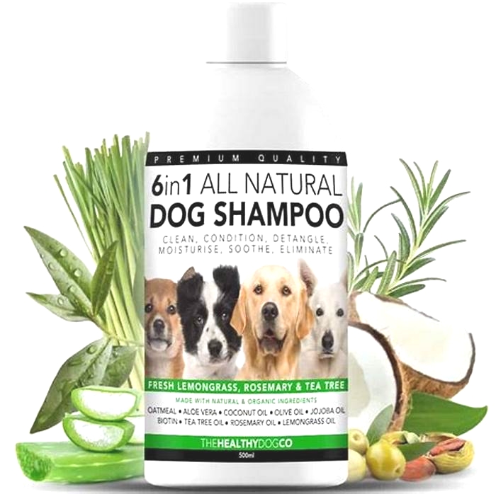 Unique Pet Shampoos Providing Specialty Shampoos for Your Dog