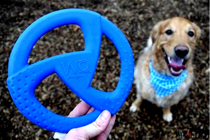 Unique Pet Toys Providing Specialty Toys for Your Dog