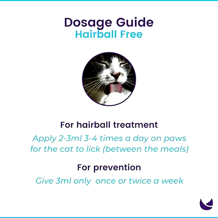 Unlocking the Secret to a Hairball Free Life with Control Treatments