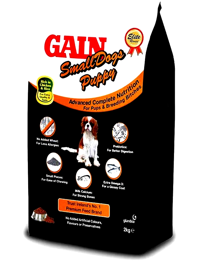 Unveiling Premium Canine Nutrition: Exploring Gain Dog Food Options